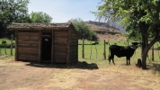 PICTURES/Grafton Ghost Town - Utah/t_Louisa Marie Russell Home Shed.jpg